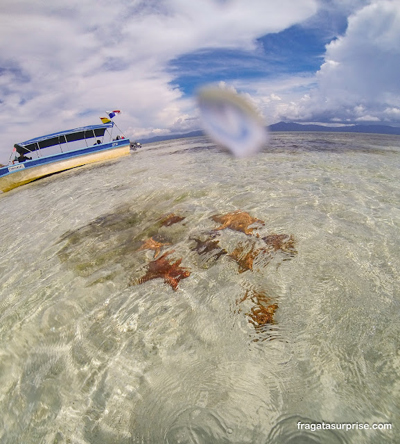 Estrelas do mar em San Blas no Panamá