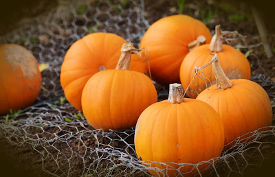 Pumpkin benefits: