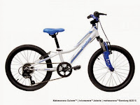 20 Inch Reebok Chameleon Spirit Carbon Steel 6 Speed Junior Mountain Bike