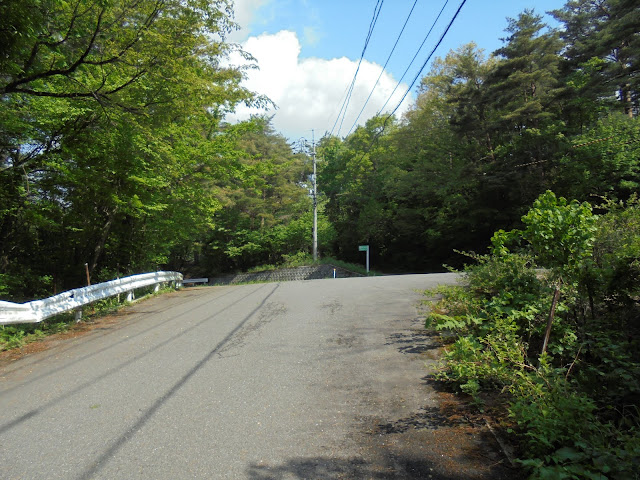 ２８４の大山寺岸本線に突き当たりました