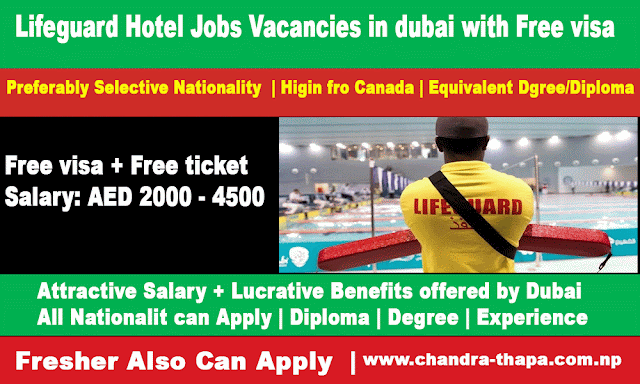 Lifeguard Hotel Jobs Vacancies in dubai with Free visa free ticket - apply Online