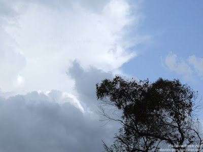 clouds and a tree in shadow - sky watch friday