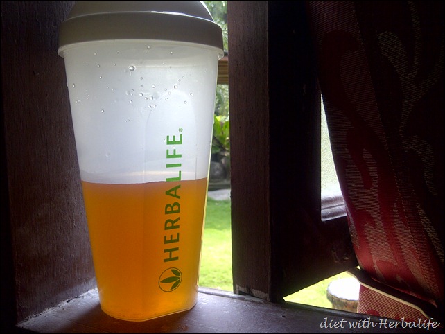 IMG-20110731-01433