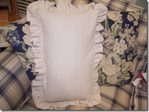 Goodwill Desk and Pillows 024