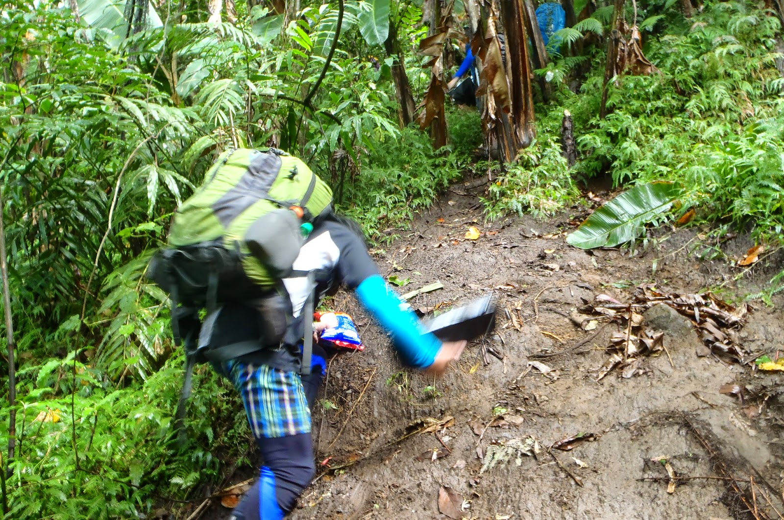 Mt. Cristobal trail