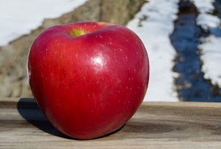 A large red apple