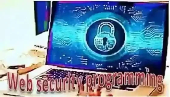 Web Security Programming Assistant! Digital security feature