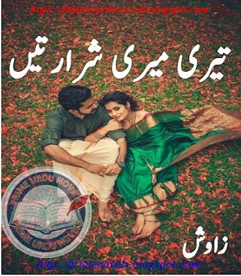 Teri meri shraraten novel by Zawish Complete pdf