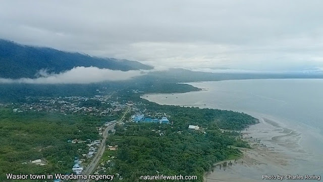 Wasior town in West Papua