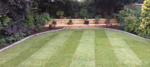 garden design - turf 