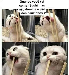 Meme gato comendo Sushi