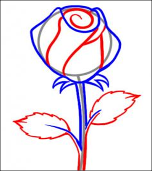 93 Populer Langkah  Langkah  Menggambar  Sketsa Bunga  Mawar  
