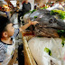 Trung Quốc: Bắt được siêu cá kiếm khổng lồ