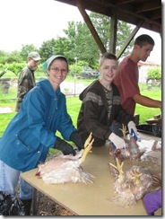 butchering 14