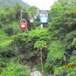 View album
