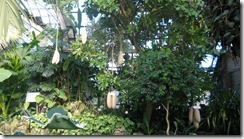 DSCN0393