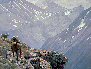 High Country – Stone Sheep, 1977