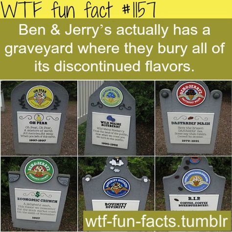 Interesting Random Facts