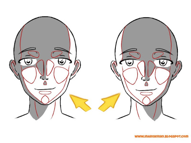 Les ombres et les lumières du visage en vue de face