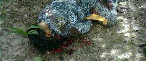 Gambar penceroboh wanita mati katak ditembak di Lahad Datu