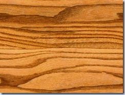 Red%20Elm esf edu