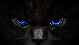 Black Cat Blue Eyes Wallpaper for Desktop Background
