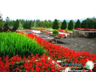 High tourisme Flower Garden taman  bunga  Indonesia