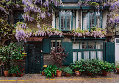 Plant Loving Home