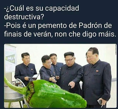 pois é un pemento de Padrón de finais de verán, non che digo máis.