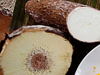 How to cook breadfruit with coconut milk