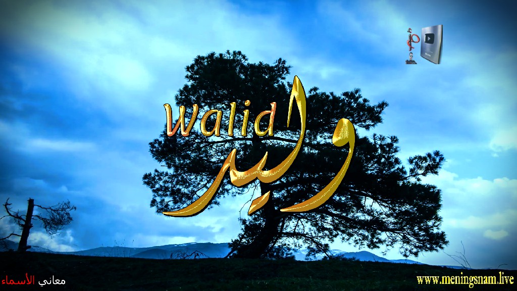 معنى اسم, وليد, وصفات, حامل, هذا الاسم, Walid,