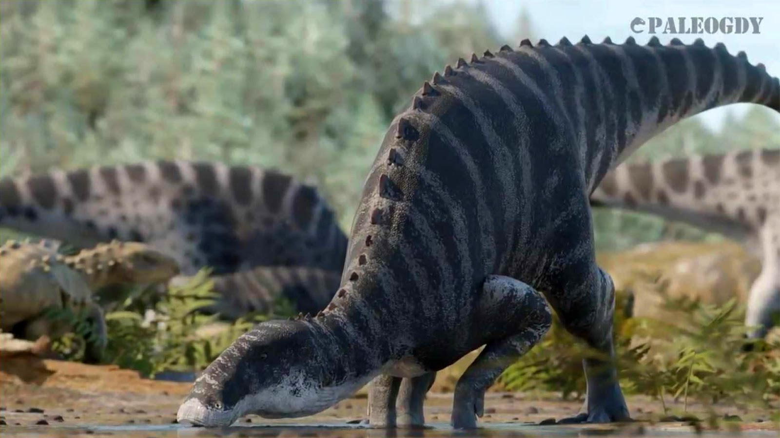 Καλλιτεχνική απεικόνιση του νέου είδους δεινοσαύρων που εντοπίστηκε στην Παταγονία. [Credit: Gabriel Diaz Yantén (Paleogdy)]