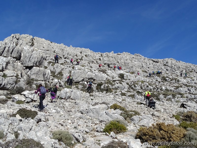 Sierra Hidalga desde Quejigales