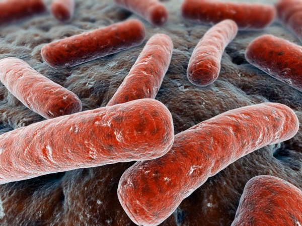 Penyakit Tuberculosis (TBC) Dan Cara Mengobatinya