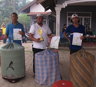 Juara I - III kelas murai batu Sakti