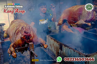 Tukang Kambing Guling Karawang,Kambing Guling Karawang,Tukang Kambing Guling,Kambing Guling,