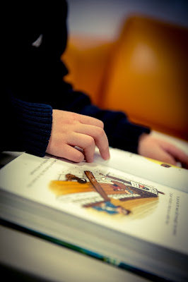 One of my favorite parts of existence a nurture is  Not Just for Babies: The Hidden Power of Picture Books for Older Kids