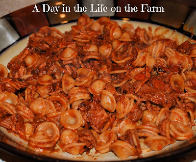 Pasta with Pork Braised in Red Wine