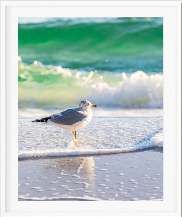 Destin Florida Beach Photo Prints Pictures