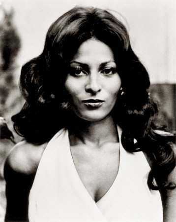 Wallpaper on World Best Collections Of Photos And Wallpapers  Pam Grier