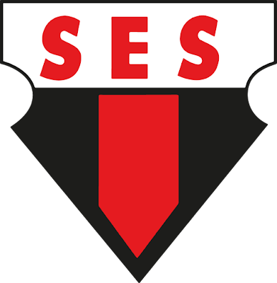 SOCIEDADE ESPORTIVA SANJOANENSE