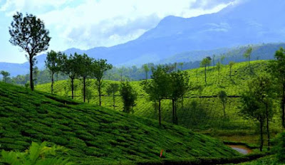 Untouched beauty of Wayanad
