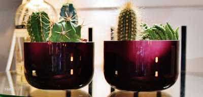 sietecuatrocuatro-cactus-time-deco-744-decora-con-cactus