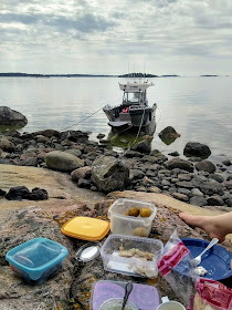 Kivikkoinen ranta, jolle laitettu eväät. Vene narussa taustalla.