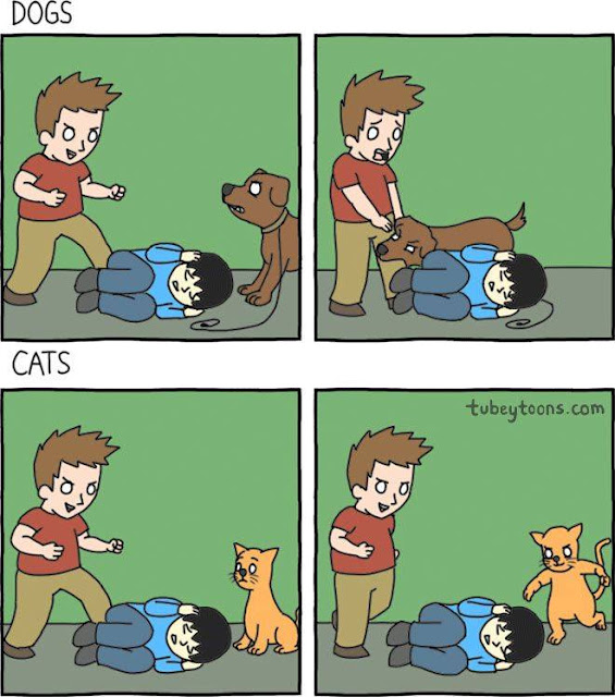 Perros vs gatos