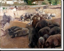 sorolla_piara_g