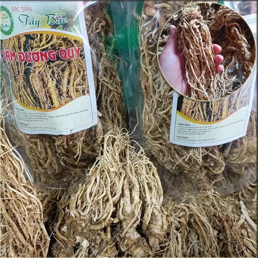 Sâm Đương Quy khô nguyên củ
