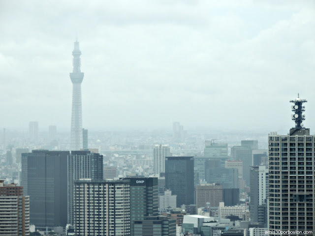 Observatorio del Ayuntamiento de Tokio