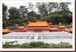 IMG_4584
