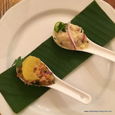 appetizers at El Delfin Restaurant at Hotel Garza Canela in San Blas, Mexico